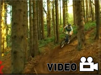 Knolly στην ομίχλη