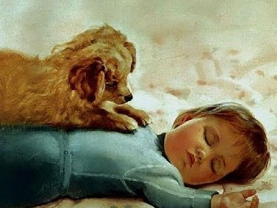 Κάντε κάτι για τα κακοποιημένα ζώα