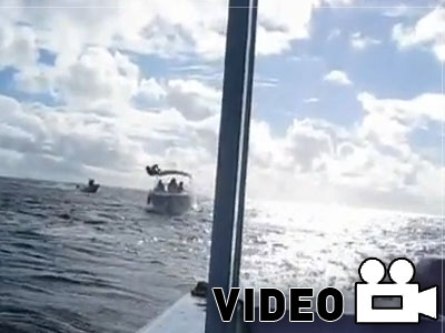 Ατυχής συνάντηση..