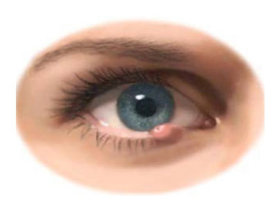 Πείτε αντίο στο κριθαράκι