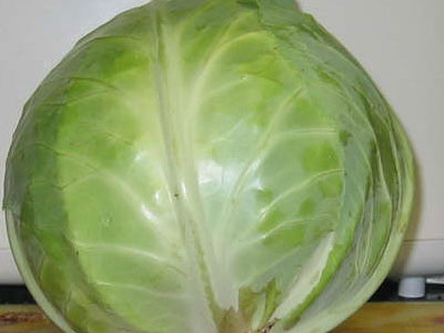 Λάχανο προς πάσα νόσο