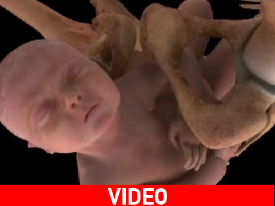 Το video της ζωής