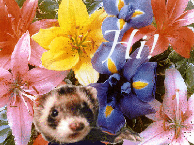 Γνωρίστε την ανθοθεραπεία