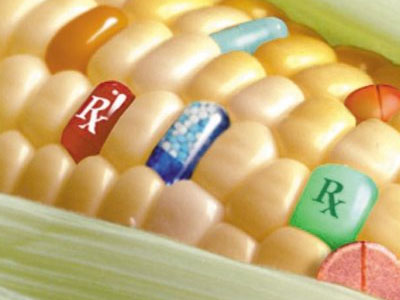 Πιέσεις ΗΠΑ στην Ελλάδα για τα γενετικά μεταλλαγμένα τρόφιμα Πιέσεις ΗΠΑ στην Ελλάδα για τα γενετικά μεταλλαγμένα τρόφιμα