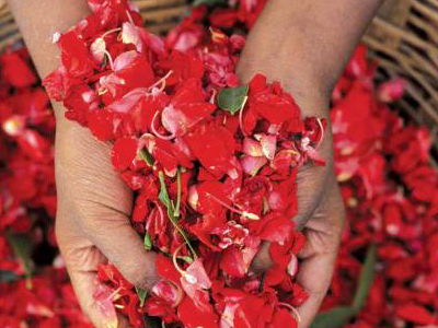 Ροδόνερο: Το αρχαιότερο καλλυντικό