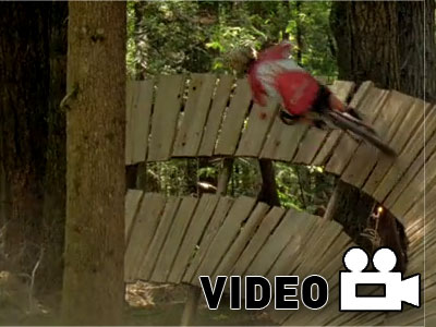 Φορτώστε άφοβα