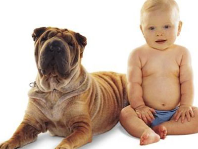 Το παιδί και το… σκυλάκι