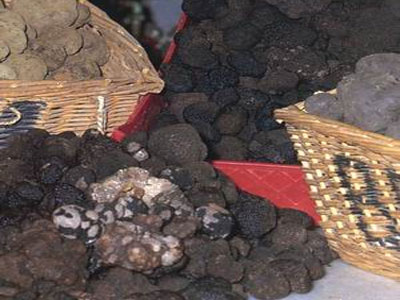 Γνωρίστε την τρούφα