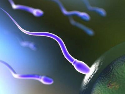 Το ωάριο επιλέγει το σπερματοζωάριο