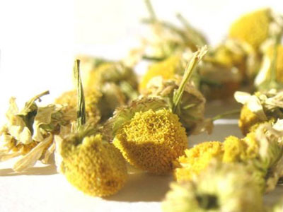 Χαμομήλι: Ο φρουρός της ομορφιάς σας