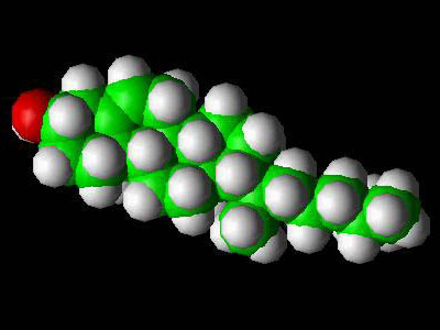 Η χοληστερίνη… επιτίθεται στις νέες γυναίκες