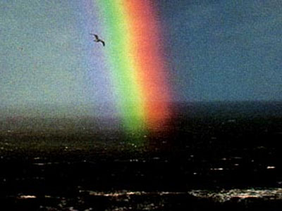 Βάλτε χρώμα στη ζωή σας