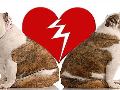 Ο πόνος του χωρισμού