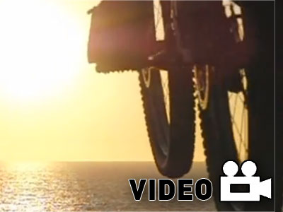 Find, η ταινία