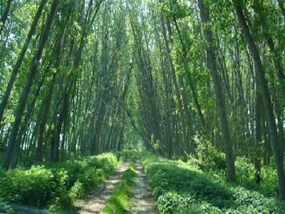 Έκκληση του WWF για την προστασία οικολογικά ευαίσθητων περιοχών