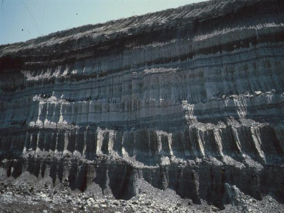 WWF: «Το πρόβλημα με τη ΔΕΗ δεν είναι μόνο το ιδιοκτησιακό»