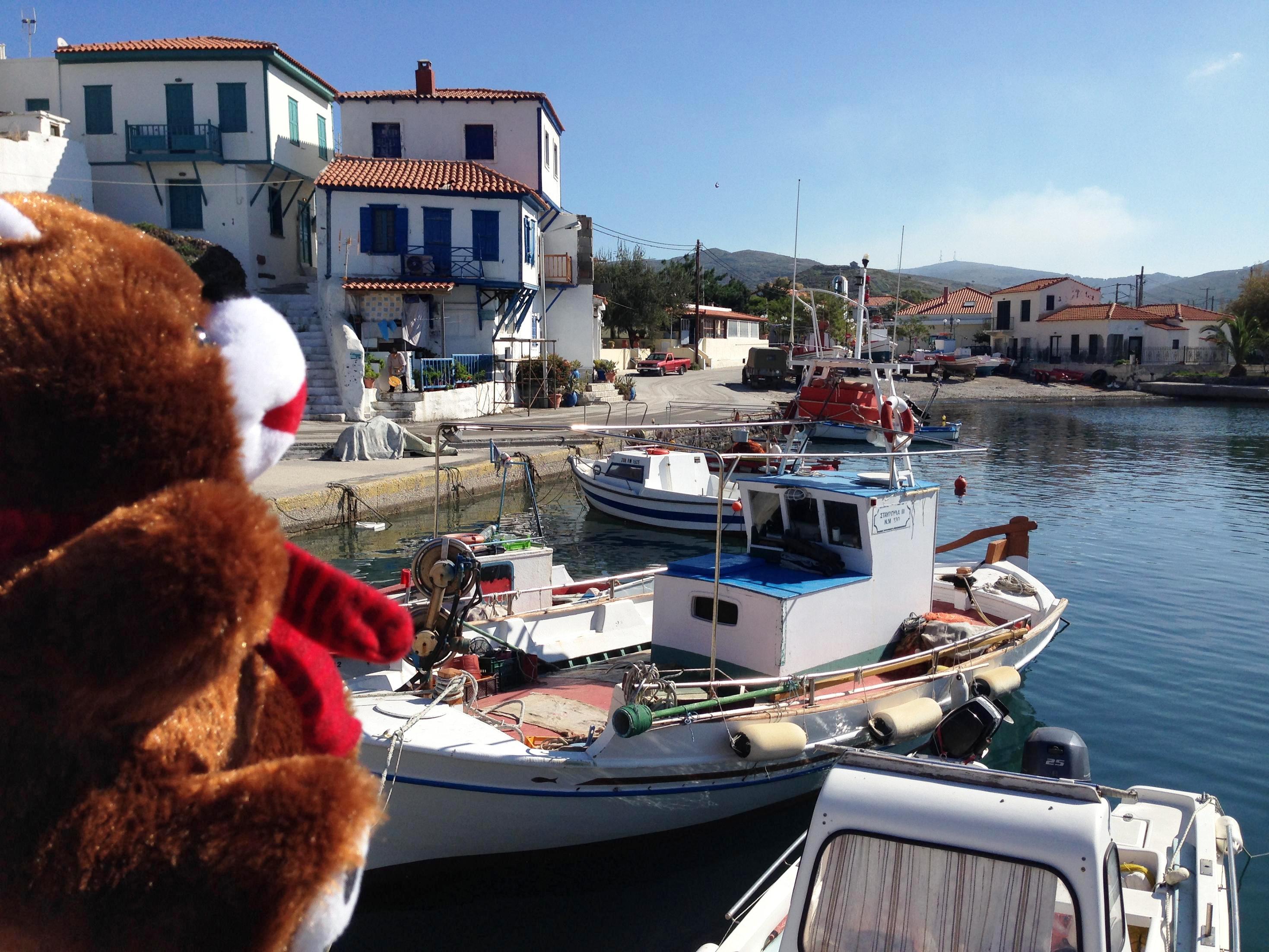 Το ArGOODaki στον Άγιο Ευστράτιο