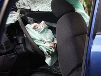 «Σφηνώθηκε» σε δέντρο και απεγκλωβίστηκε από την ΕΜΑΚ