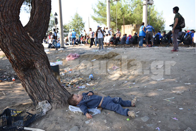 Ένα παιδί κοιμάται κάτω από ένα δέντρο...