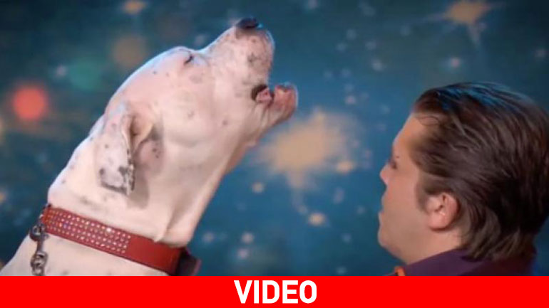 Σκύλος τραγουδάει άψογα… Whitney Houston!