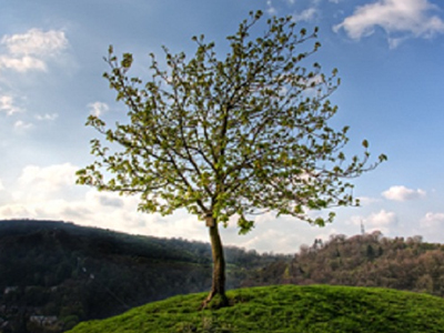 Υπεγράφη η απόφαση για τις περιβαλλοντικές αδειοδοτήσεις