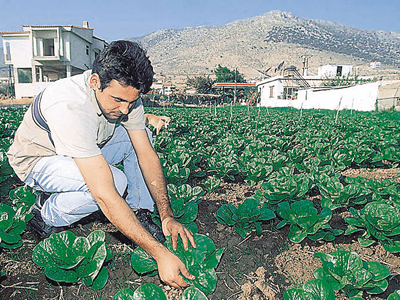 Ο «Καλύτερος Νεος Αγρότης» της Ελλάδας αναδεικνύεται το Σάββατο!