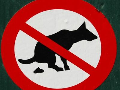 Πιλοτικό πρόγραμμα για τις ακαθαρσίες σκύλων στο Ελληνικό