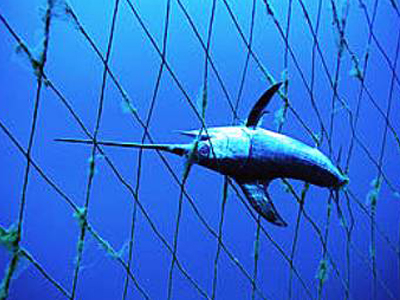 Καταφύγια αλιευμάτων προτείνει το Ευρωκοινοβούλιο