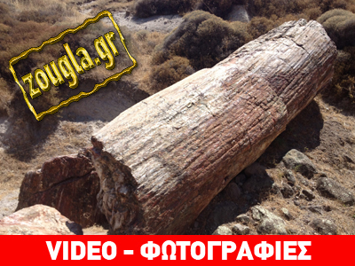 Όταν η Φύση σταμάτησε τον Χρόνο