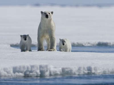 Εκστρατεία της Greenpeace για την προστασία της Αρκτικής