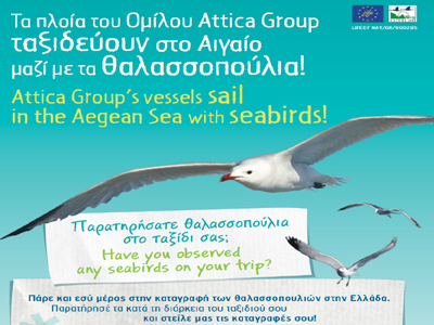 Συμμαχία για την προστασία των πουλιών του Αιγαίου!