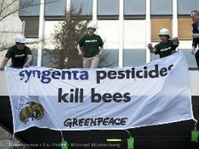 Αντιδράσεις για τον υπό ψήφιση «μελισσοκτόνο» νόμο