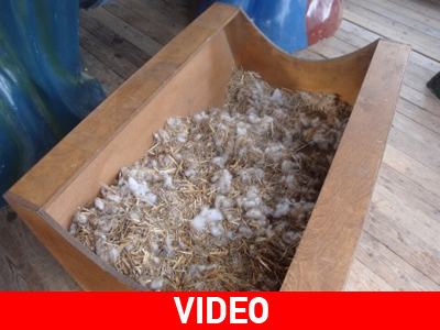 Έκλεψαν το θείο βρέφος (και) στην Ξάνθη