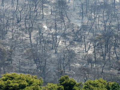 Οδικός χάρτης για την προσαρμογή της Ελλάδας στην κλιματική αλλαγή