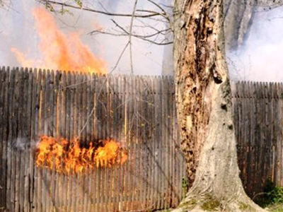 Ποια φυτά σώζουν τον κήπο μας από τις πυρκαγιές