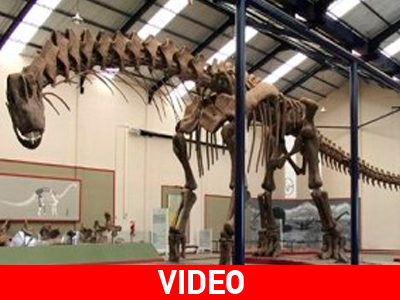 Ο μεγαλύτερος δεινόσαυρος στον κόσμο… περπατά και πάλι!