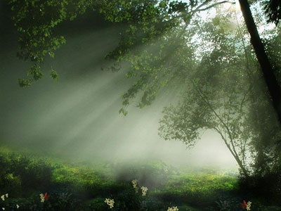 WWF: «Η Ελλάδα έχει απεριόριστες δυνατότητες για ζωντανή οικονομία αλλά… τις αγνοεί»