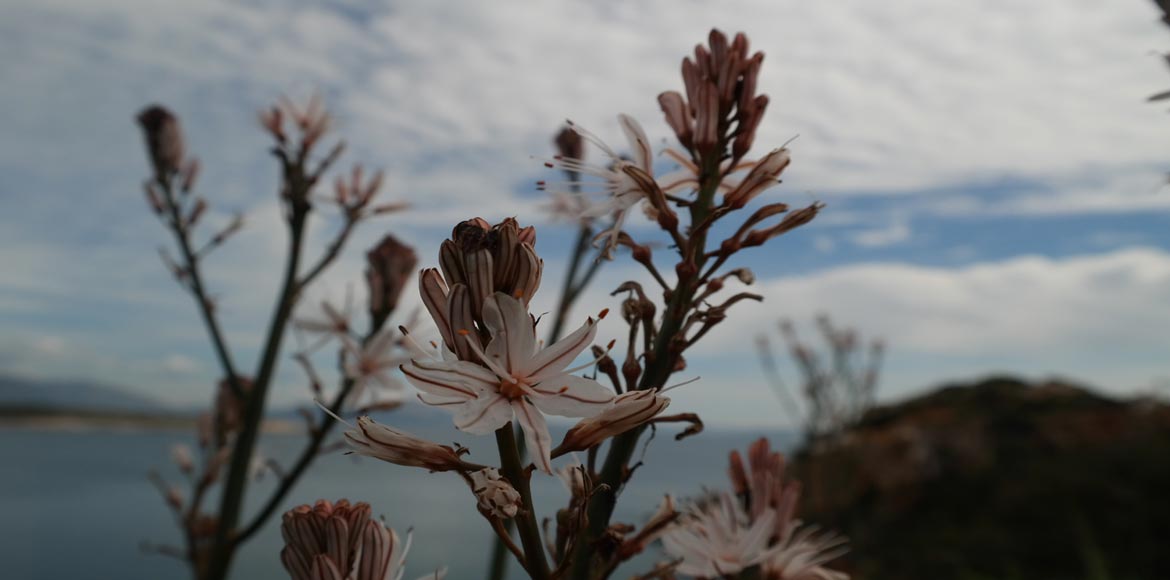 Πρώτη μέρα της Άνοιξης