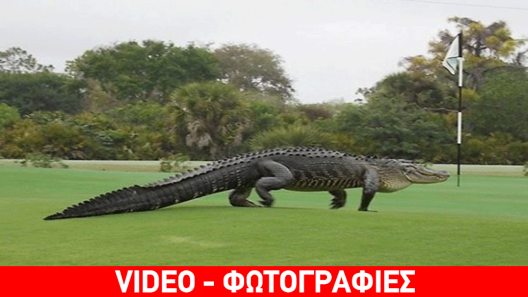 Ο… “Σήφης” της Φλόριντα εμφανίστηκε σε γήπεδο γκολφ!