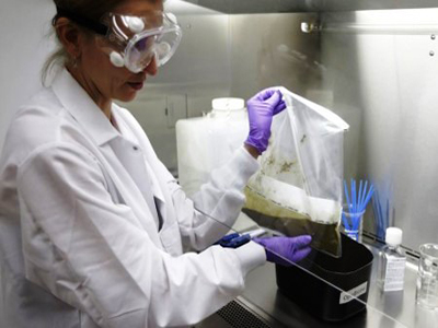 Πουλάνε τα περιττώματά τους και κερδίζουν… έως 11.500 ευρώ!