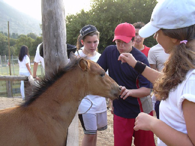 Για δέκατη χρονιά πραγματοποιείται η οικολογική κατασκήνωση για εφήβους