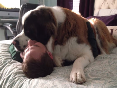 Οι σκύλοι “διαβάζουν” τη διάθεσή μας από το πρόσωπο