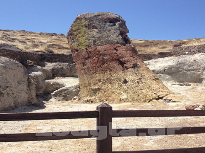 Μαθητές από την Ιαπωνία στο Γεωπάρκο Λέσβου και το Απολιθωμένο Δάσος