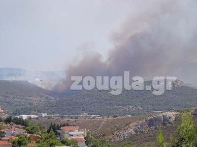 Σε ύφεση η φωτιά στα Σπάτα
