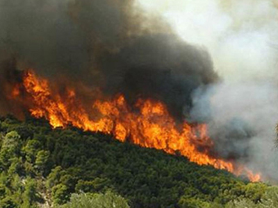 Υπό έλεγχο η φωτιά σε ορεινή έκταση του Βόλου