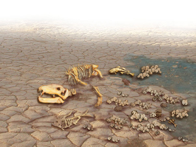 Σοκαριστική επιστημονική έρευνα: ξεκίνησε η έκτη μαζική εξαφάνιση των ειδών!