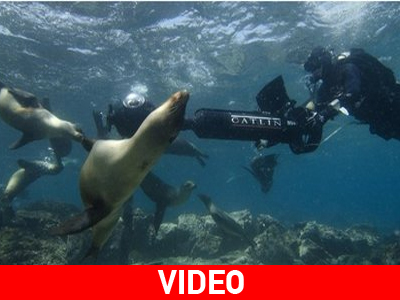 Το Google Street View «ακτινογράφησε» τα Γκαλαπάγκος!