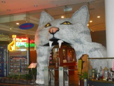 Εγένετο… μουσείο για γάτες!