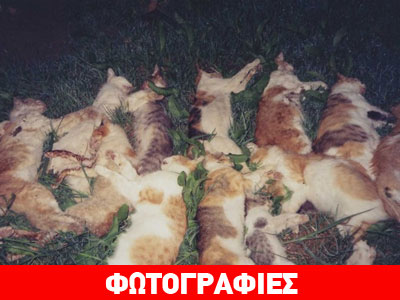 Φρίκη στο Αγρίνιο με μαζικές δηλητηριάσεις ζώων