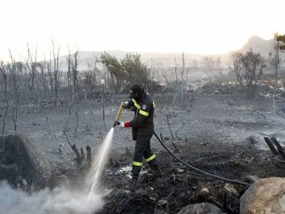Υπό έλεγχο η φωτιά στην Επίδαυρο